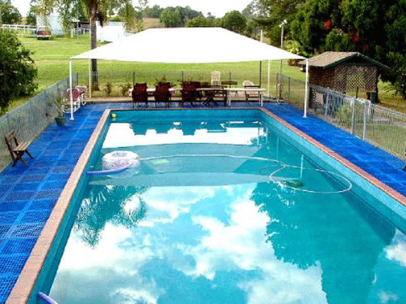 Jacaranda Motor Lodge Графтон Экстерьер фото